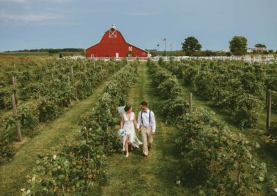 bride and groom walking down green vineyard with the Big Red Barn in the background