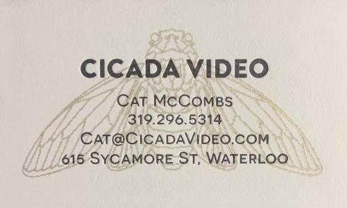Cicada Video
