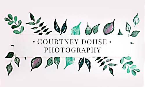 Courtney Dohse Photography